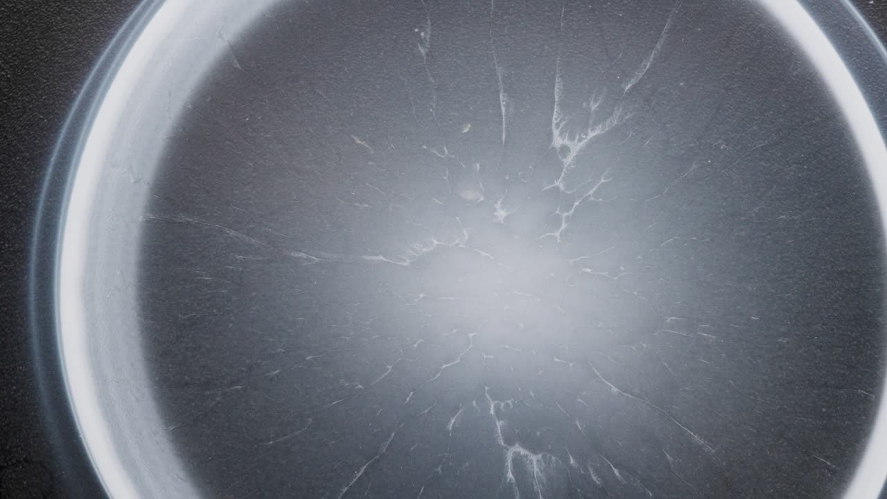 Abstract white ink spreads in liquid, forming circular, dreamy, organic patterns