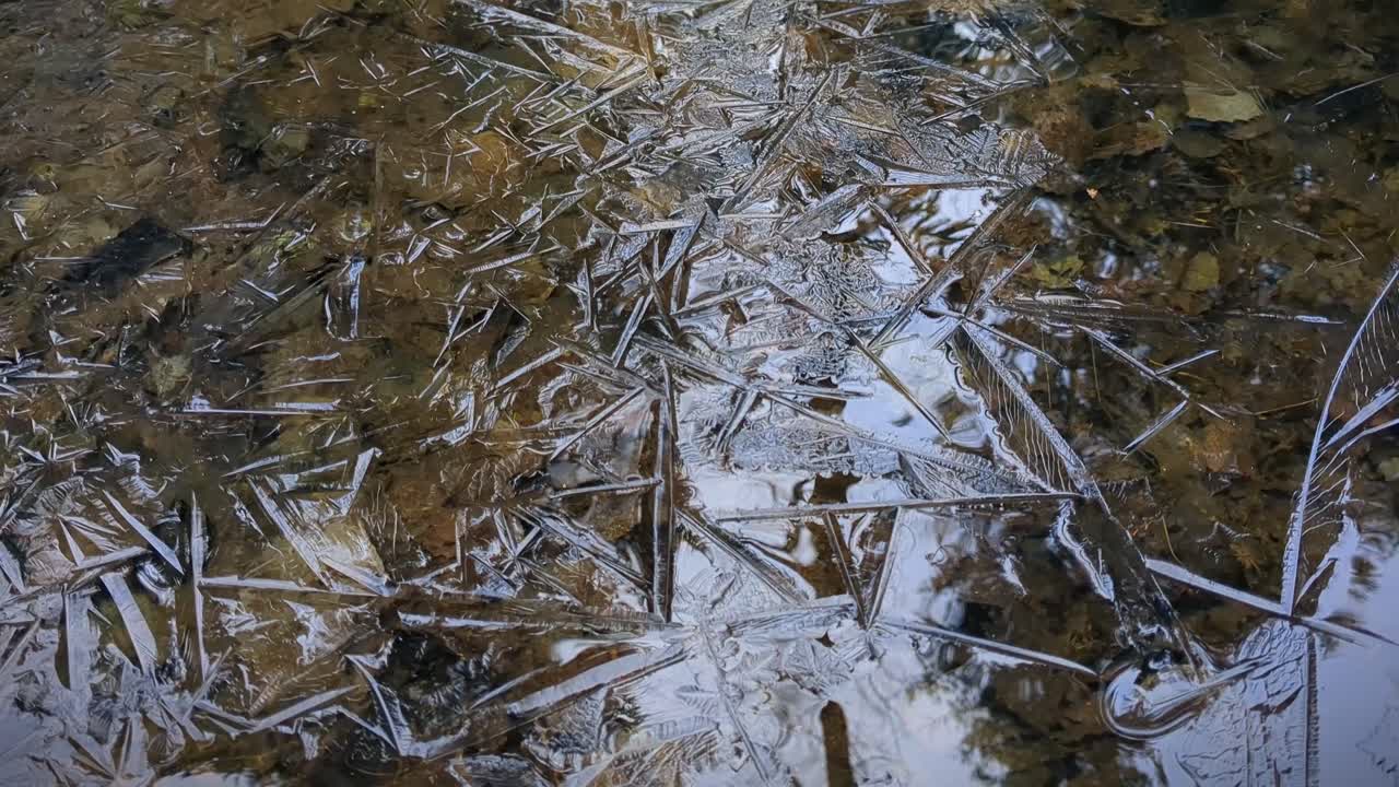 patrón de hielo delgado en el estanque del bosque congelado, hojas de otoño bajo el agua congelada