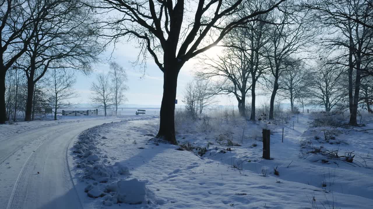 Zimní krajina se zasněženou cestou a stromy