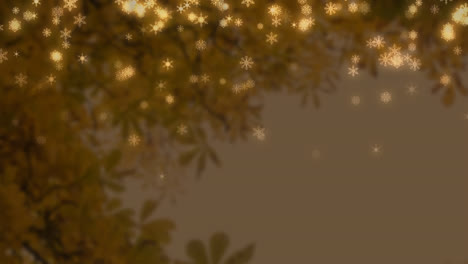 animation of stars and snow falling over tree on brown background