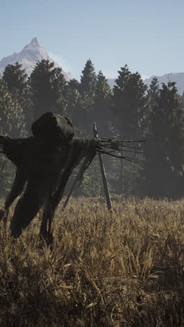 creepy scarecrow in a field