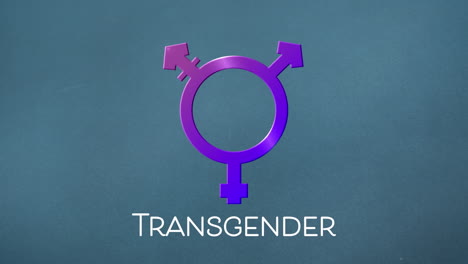 animation of purple transgender symbol on pink background