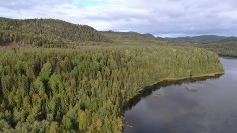 Scenic-Drone-View-of-Swedish-River-and-Fall-Forest-Landscape-With-Vibrant-Autumn-Colors