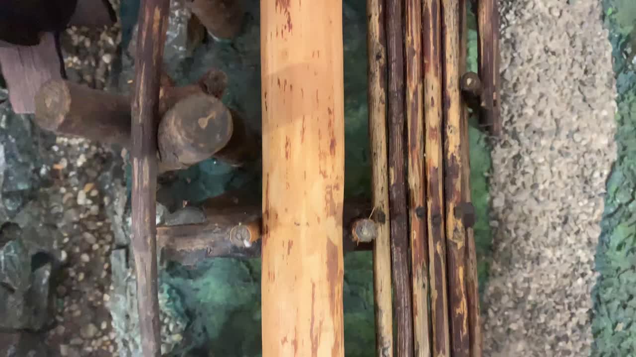 리버 밀을 사용하여 나무를 자르는 조감도