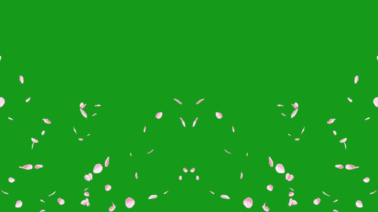 날아다니며 떨어지는 장미 잎자루 녹색 스크린 모션 그래픽