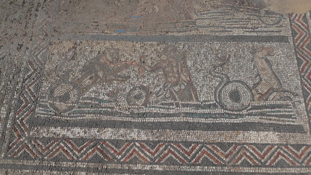 Vista a livello del suolo di un pannello decorativo di mosaico romano presso il sito archeologico di Volubilis, patrimonio UNESCO, in Marocco, che evidenzia dettagli ornamentali conservati e l'antica maestria del mosaico.