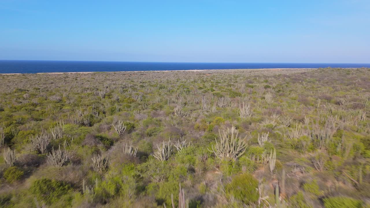 Aerial view of the rugged north coast of Curacao with the rocky shoreline meeting the deep blue ocean, drone soars above abandoned old building covered in cacti