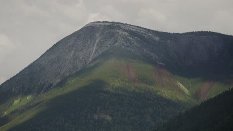 Schatten-Verstreut-über-Einen-Hochgebirgswald