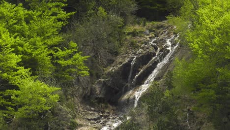 Peaceful-alpine-waterfalls-cascading-down-rockface-edged-by-green-trees