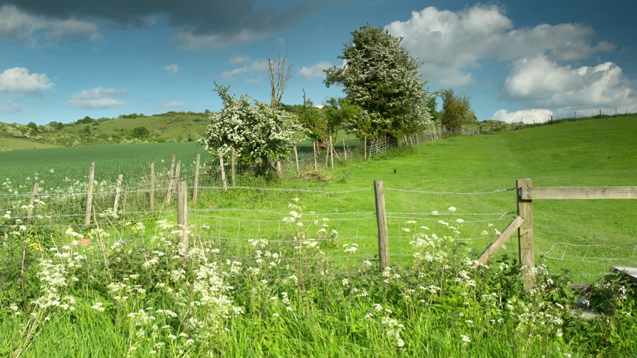 Englische Landschaft 07