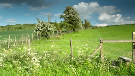 english countryside 07