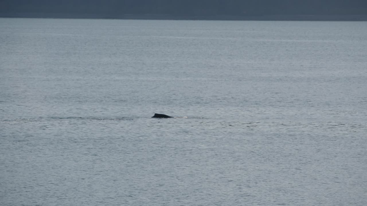 캐나다 내부 통로, 얼음 해협 지점