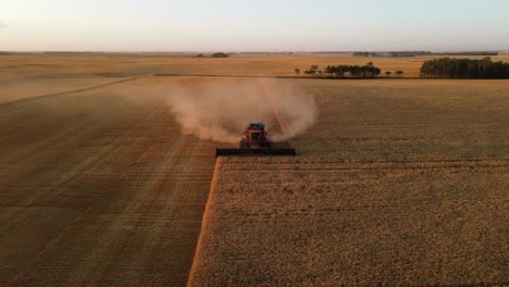 4k aerial frontal drone view of a modern combine harvesting wheat crop in alberta, canada
