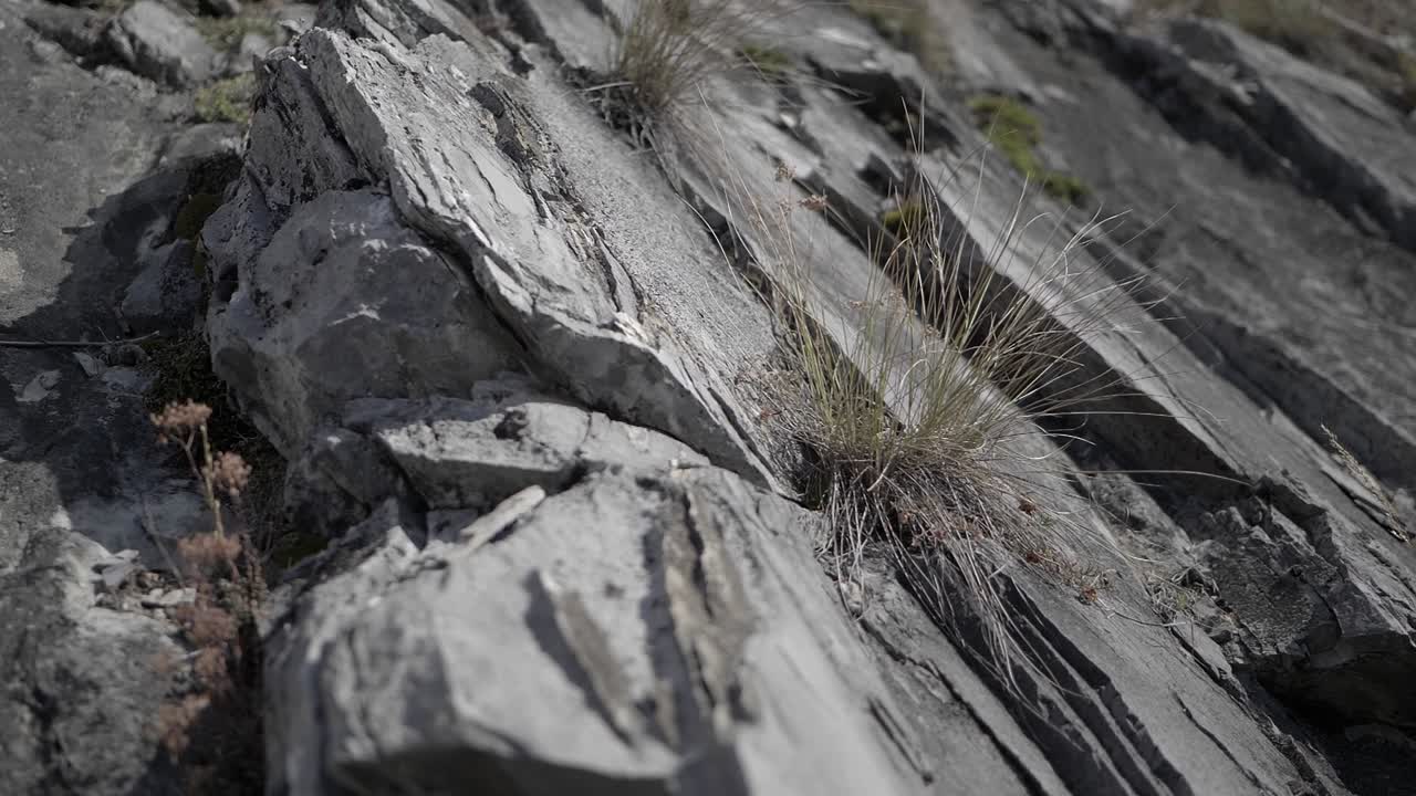 textura de roca en los alpes suizos durante el verano
