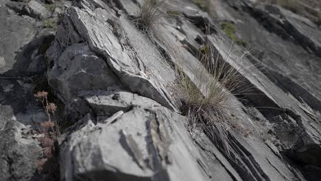 Felsstruktur-In-Den-Schweizer-Alpen-Im-Sommer