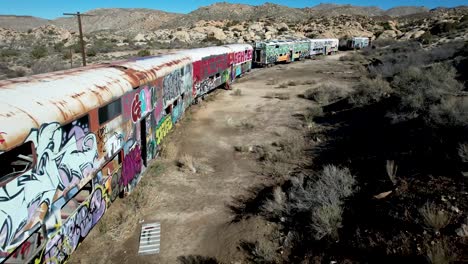 graffiti covered train cars left behind on abandoned railroad tracks