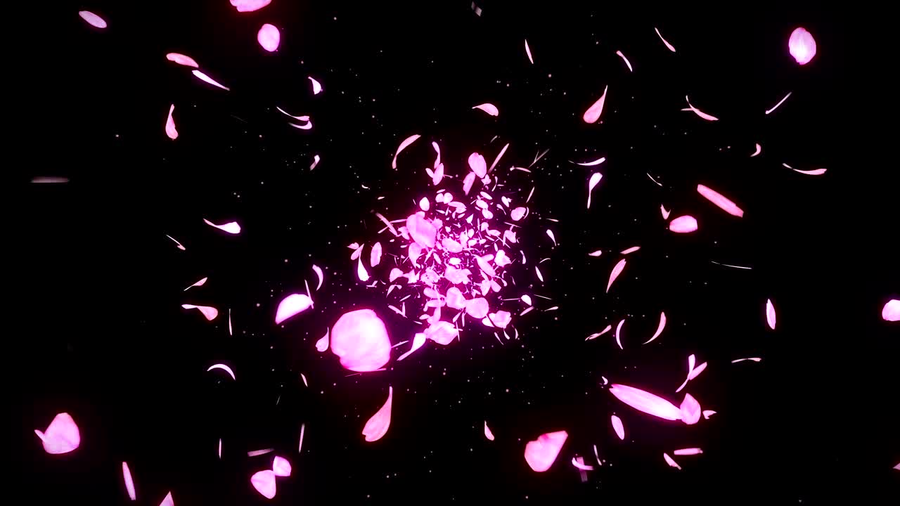검은 바탕에 떨어지는 체리 꽃 잎, 루프 글리터 애니메이션