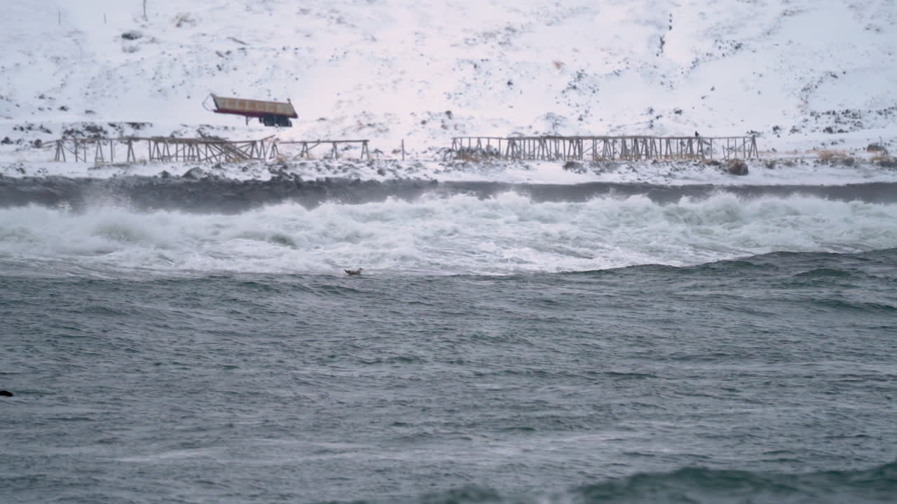 스톡어 산업을 배경으로 어항이 있는 해안에 충돌하는 북극의 파도