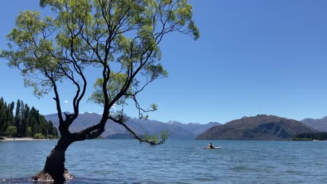 that wanaka tree - tourist kayaking at wanaka lake during summer vacation in new zealand