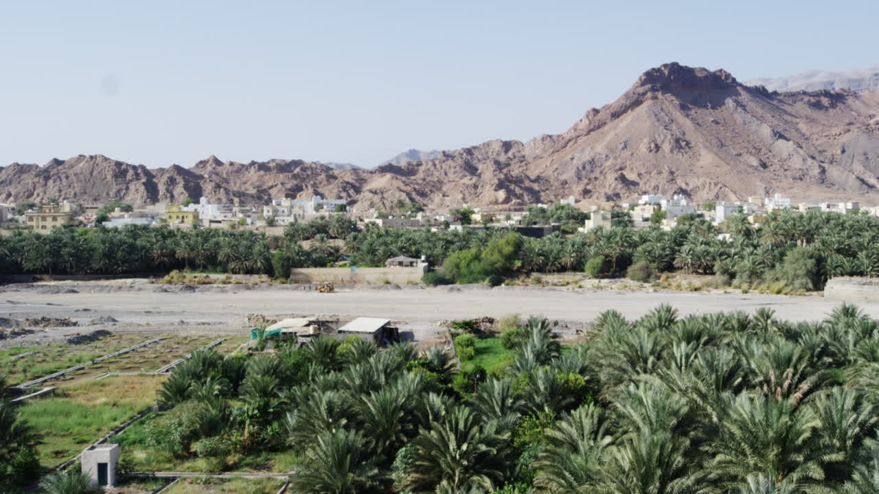 Palm tree plantation in front of arid hills in Fanja, Oman, wide shot tilt up