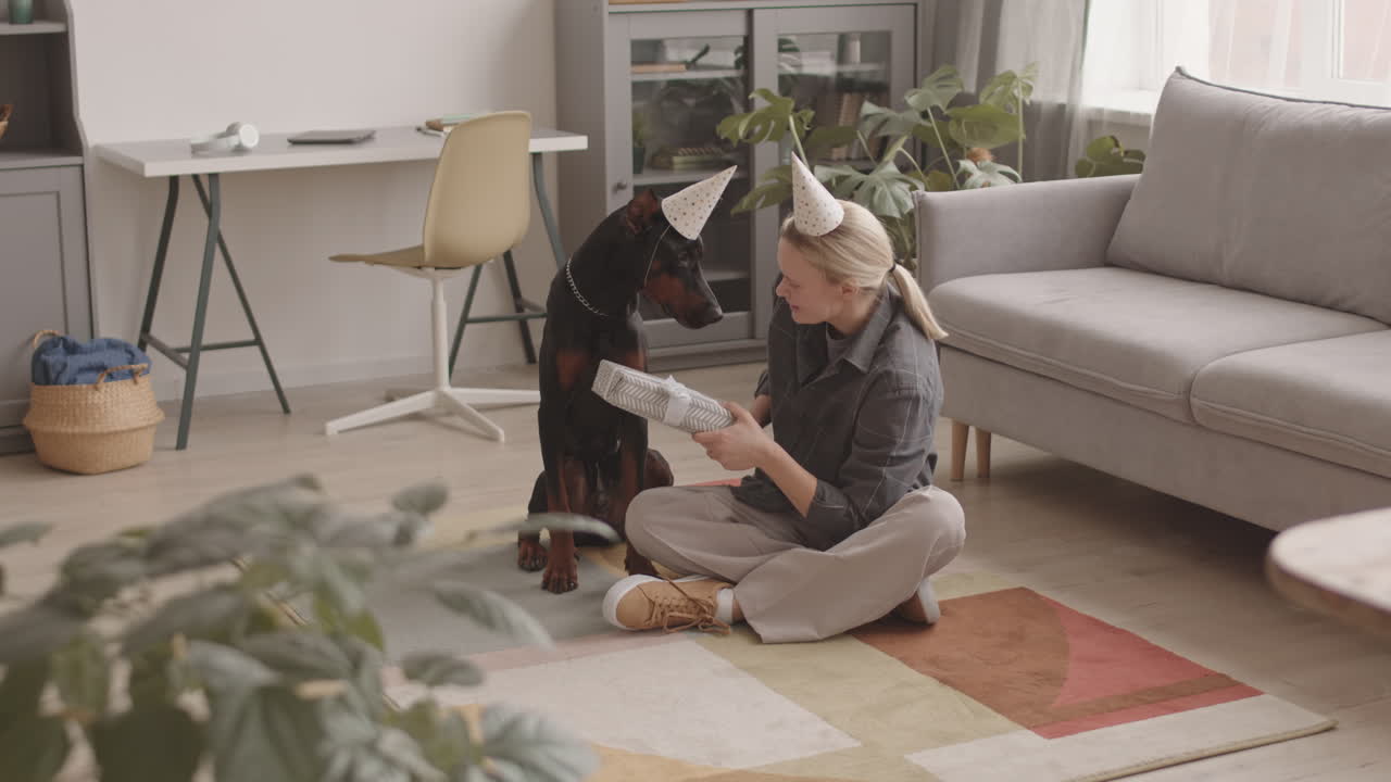 Woman Giving Gift to Dog