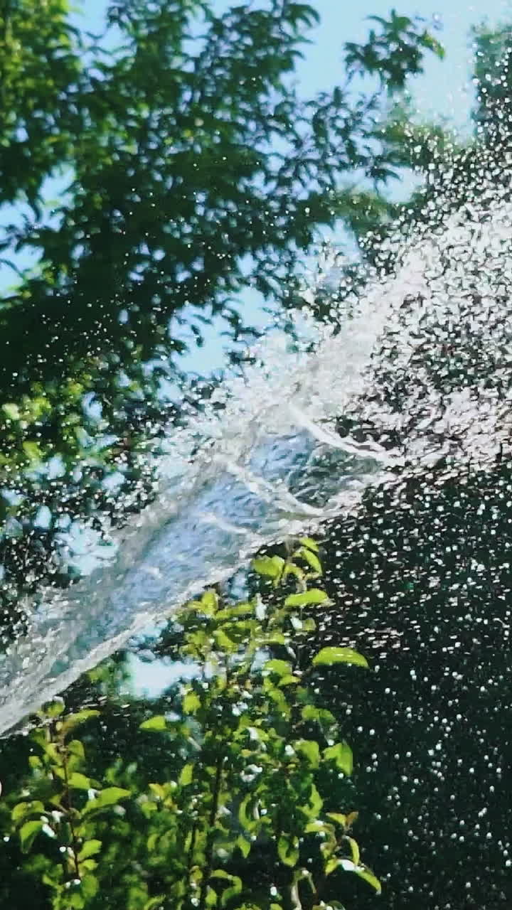 Working watering garden from hose. Close up view of watering the garden with hose. Vertical video