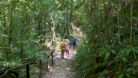 family hiking along a trail through the jungle