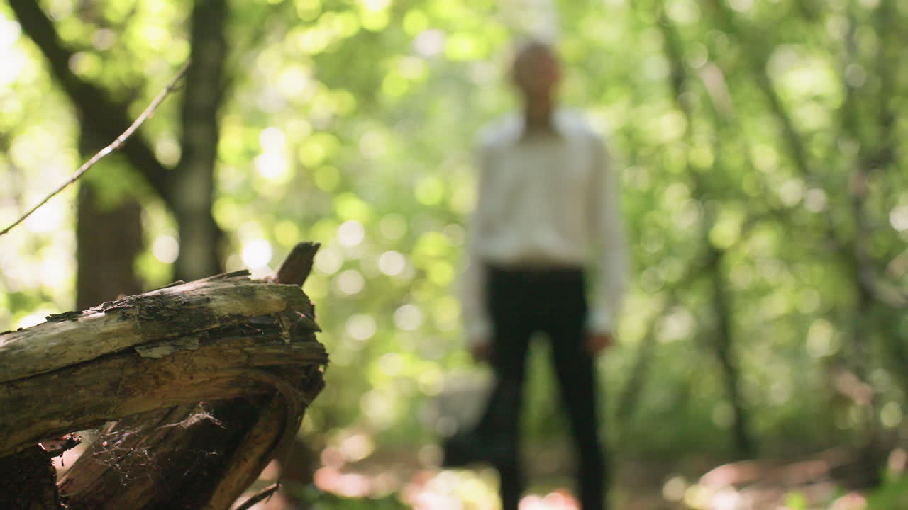 Scientific researcher in white shirt standing in forest with blurred background, observing trees while surrounded by sunlight filtering through green leaves creating natural woodland atmosphere