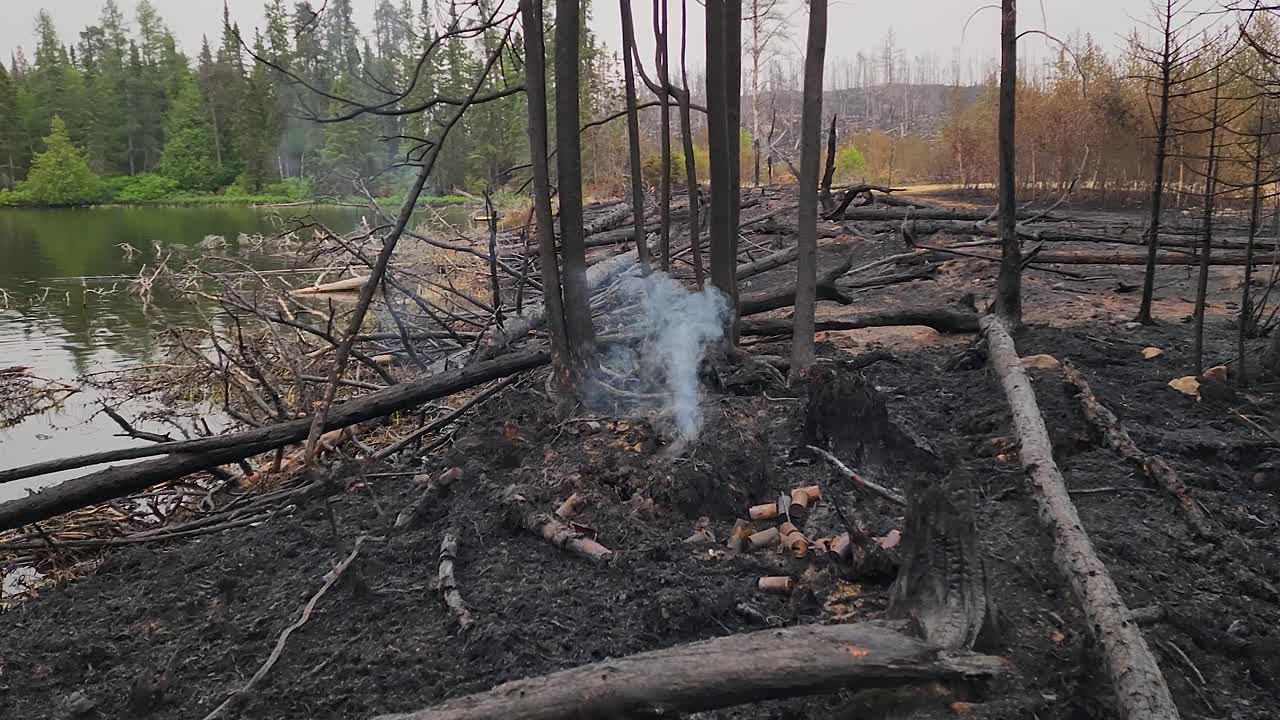 humo que se eleva desde el suelo ardiente después de los incendios forestales canadienses cerca de sudbury, ontario