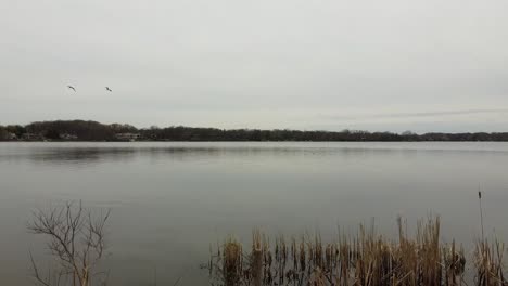 Cañas-Lago-Este-Grand-Rapids-Michigan-Drone-Imágenes-Aéreas