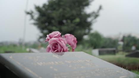 flowers on gravestone. handheld, shallow focus