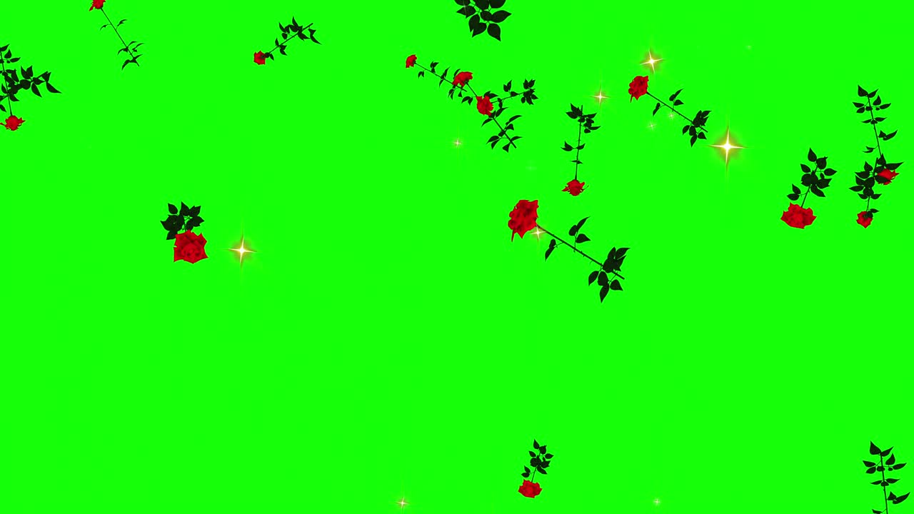장미 꽃 입자 녹색 스크린 애니메이션