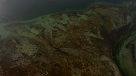 aerial of a river delta