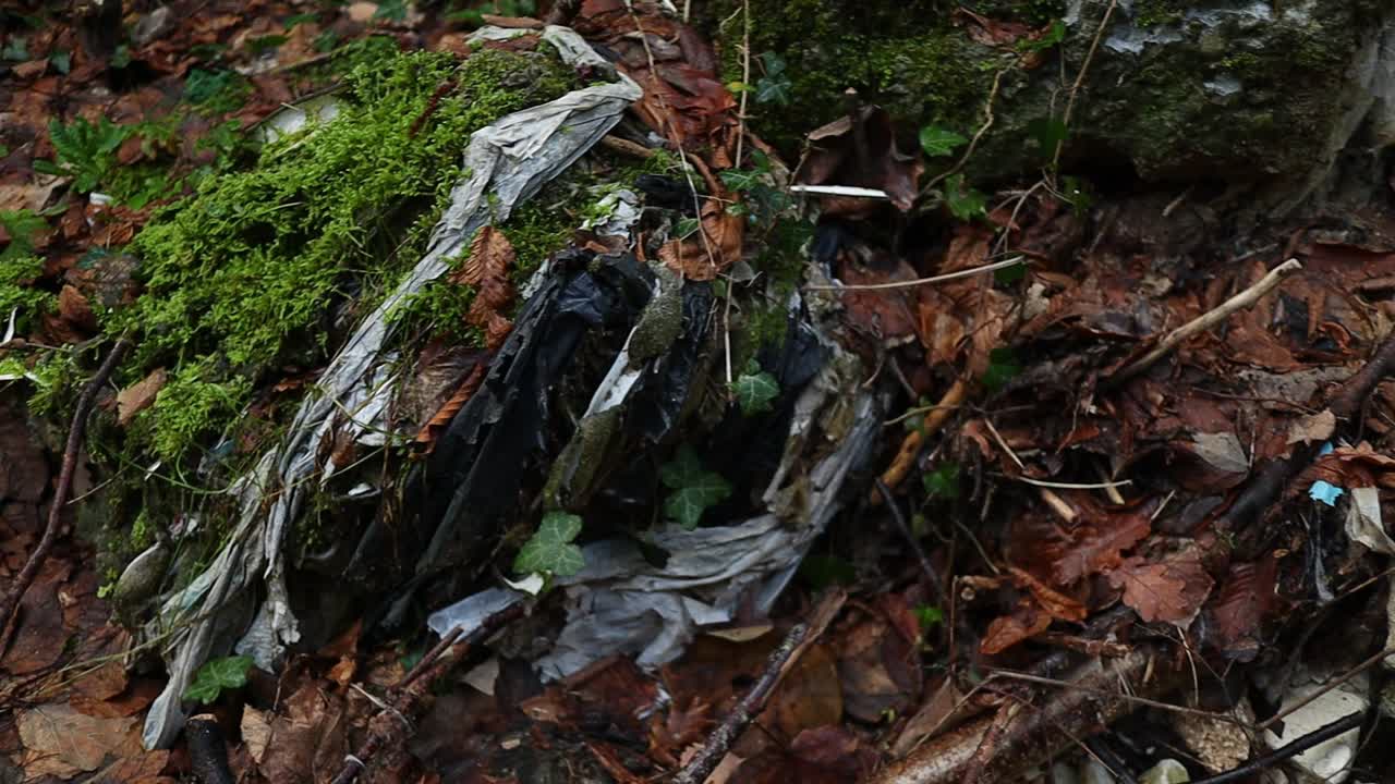 basura vieja y neumáticos de camión abandonados en el bosque, contaminación ambiental, primer plano