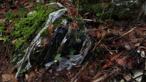 Basura-Vieja-Y-Neumáticos-De-Camión-Abandonados-En-El-Bosque,-Contaminación-Ambiental,-Primer-Plano