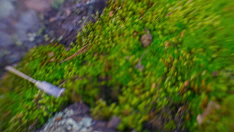 drug paraphernalia left scattered on ground in a bed of moss, grass and rock