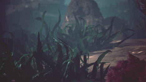 beautifiul underwater panoramic view with tropical coral reefs