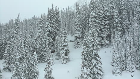 Cinematic-aerial-Colorado-winter-spring-deep-powder-snow-snowing-covered-trees-Loveland-Ski-Resort-Eisenhower-Tunnel-Coon-Hill-backcountry-i70-heavy-Continential-Divide-Rocky-Mountains-slowly-forward