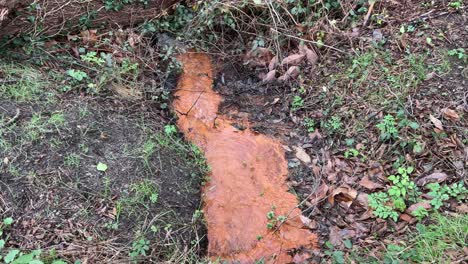 stream polluted with bright orange running down stream.