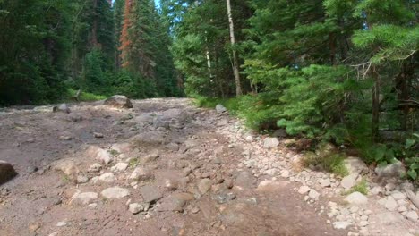 sxs conduciendo por el sendero en colorado