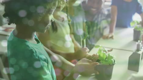 animation of bokeh light spots over diverse schoolchildren and male teacher studying plant in class