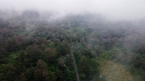 Drohnen-4K-Ansicht-Der-Nebligen-Straße-In-Den-Bergen-Inmitten-Des-Nadelwaldes