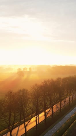 golden sunrise over country road