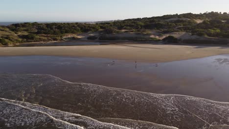 Hombre-Corriendo-Con-Perros-En-Playa-Grande-Playa-En-Punta-Del-Diablo,-Uruguay