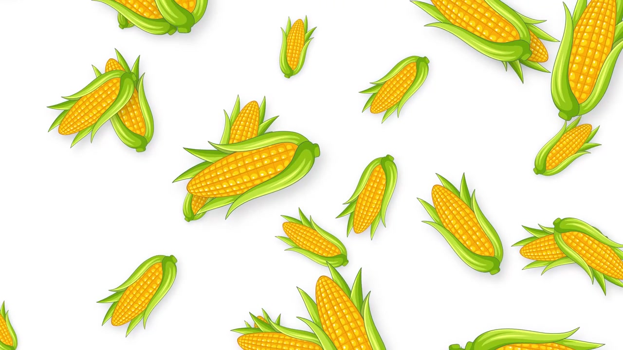 Graphic animation of fresh corn cobs falling vertically against a clean white background.