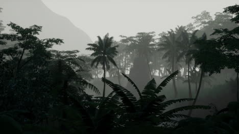misty jungle landscape