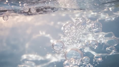 bubbles rising in clear water