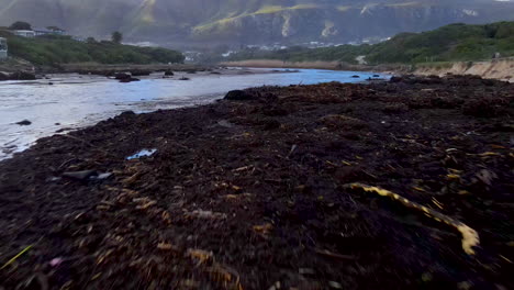 Drone-flight-up-Onrus-lagoon-river-mouth-littered-with-debris-and-plant-matter