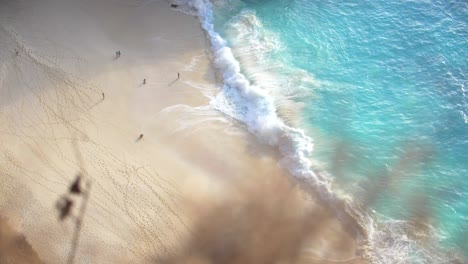 vogelperspektive auf einen tropischen strand