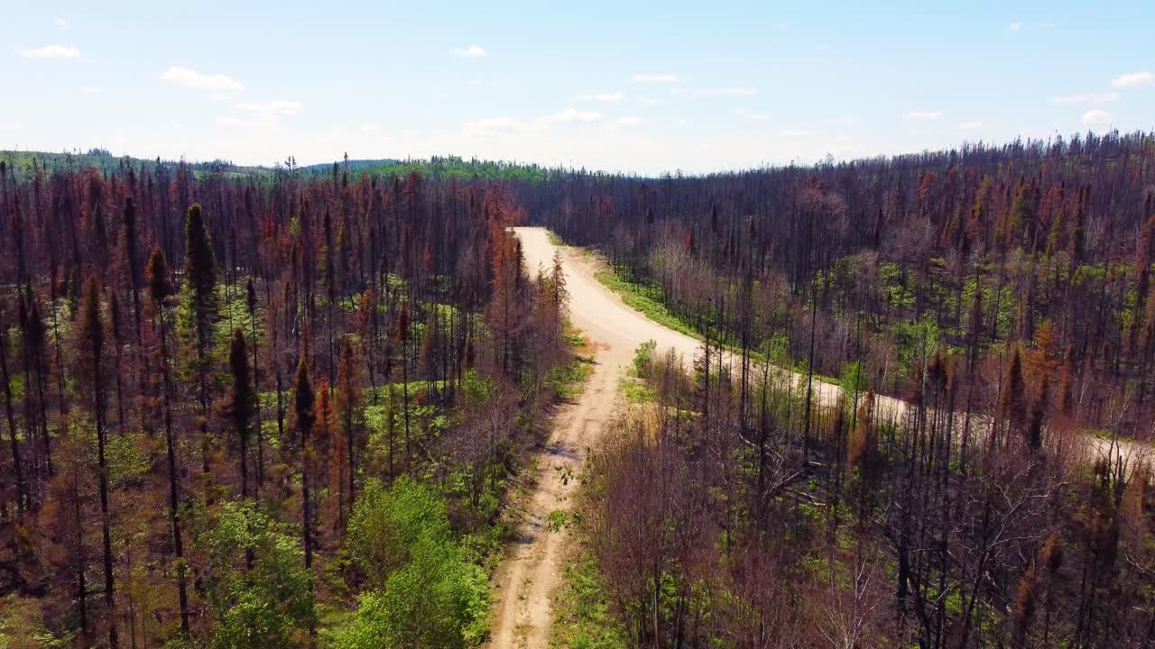 Bird's eye view of nature after the largest forest fire in the history of the province of Qu&eacute;bec